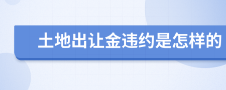 土地出让金违约是怎样的