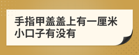 手指甲盖盖上有一厘米小口子有没有