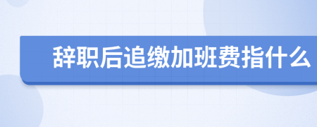 辞职后追缴加班费指什么