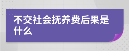 不交社会抚养费后果是什么