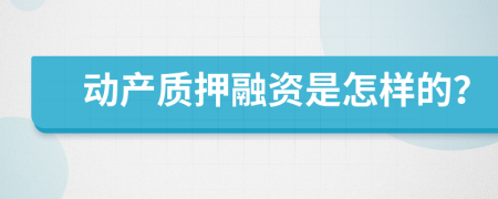 动产质押融资是怎样的？