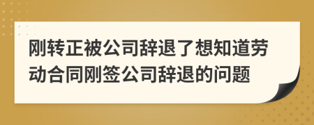 刚转正被公司辞退了想知道劳动合同刚签公司辞退的问题