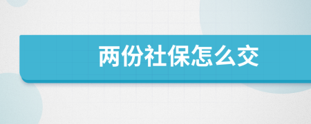 两份社保怎么交