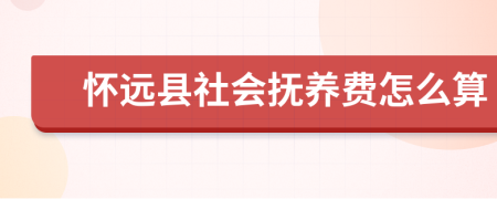 怀远县社会抚养费怎么算