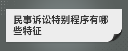 民事诉讼特别程序有哪些特征