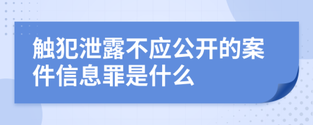 触犯泄露不应公开的案件信息罪是什么