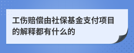 工伤赔偿由社保基金支付项目的解释都有什么的