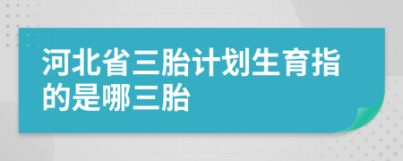 河北省三胎计划生育指的是哪三胎