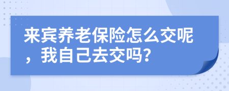 来宾养老保险怎么交呢，我自己去交吗？