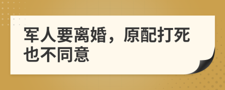 军人要离婚，原配打死也不同意