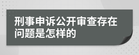 刑事申诉公开审查存在问题是怎样的