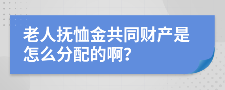 老人抚恤金共同财产是怎么分配的啊？