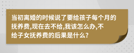 当初离婚的时候说了要给孩子每个月的抚养费,现在去不给,我该怎么办,不给子女抚养费的后果是什么？