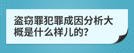 盗窃罪犯罪成因分析大概是什么样儿的？