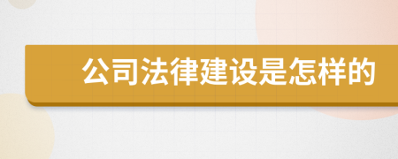 公司法律建设是怎样的