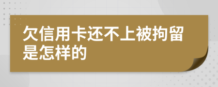 欠信用卡还不上被拘留是怎样的