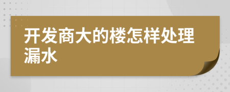 开发商大的楼怎样处理漏水