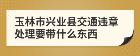 玉林市兴业县交通违章处理要带什么东西