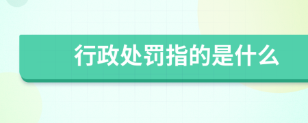 行政处罚指的是什么