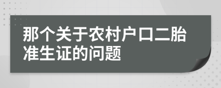 那个关于农村户口二胎准生证的问题