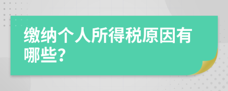 缴纳个人所得税原因有哪些？