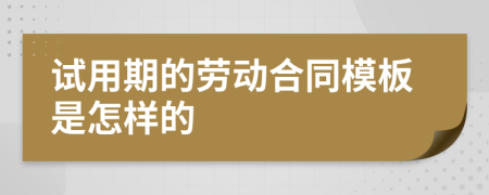 试用期的劳动合同模板是怎样的