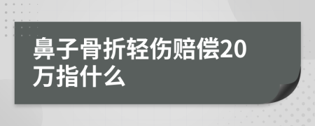 鼻子骨折轻伤赔偿20万指什么