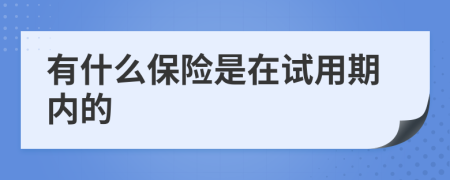 有什么保险是在试用期内的