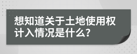 想知道关于土地使用权计入情况是什么？