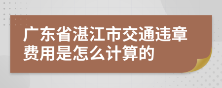 广东省湛江市交通违章费用是怎么计算的