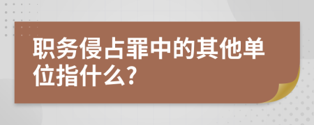 职务侵占罪中的其他单位指什么?