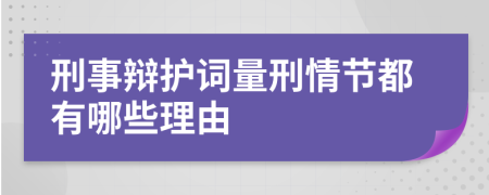 刑事辩护词量刑情节都有哪些理由