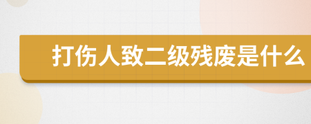 打伤人致二级残废是什么