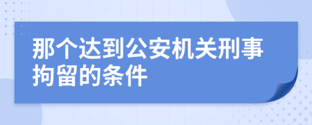 那个达到公安机关刑事拘留的条件