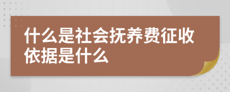 什么是社会抚养费征收依据是什么