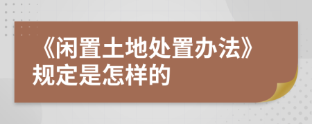 《闲置土地处置办法》规定是怎样的