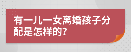 有一儿一女离婚孩子分配是怎样的？