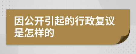 因公开引起的行政复议是怎样的