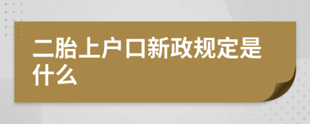 二胎上户口新政规定是什么