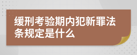 缓刑考验期内犯新罪法条规定是什么