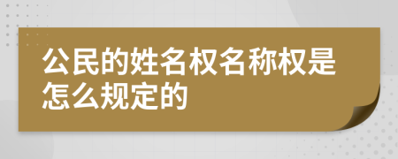 公民的姓名权名称权是怎么规定的