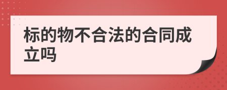 标的物不合法的合同成立吗