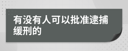 有没有人可以批准逮捕缓刑的