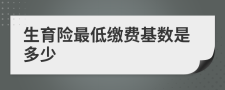 生育险最低缴费基数是多少