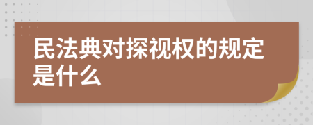 民法典对探视权的规定是什么