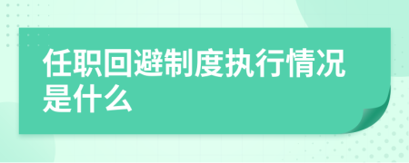 任职回避制度执行情况是什么