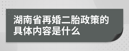 湖南省再婚二胎政策的具体内容是什么