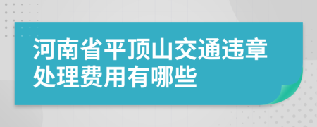 河南省平顶山交通违章处理费用有哪些