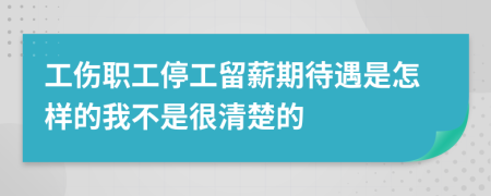 工伤职工停工留薪期待遇是怎样的我不是很清楚的