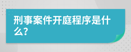 刑事案件开庭程序是什么？
